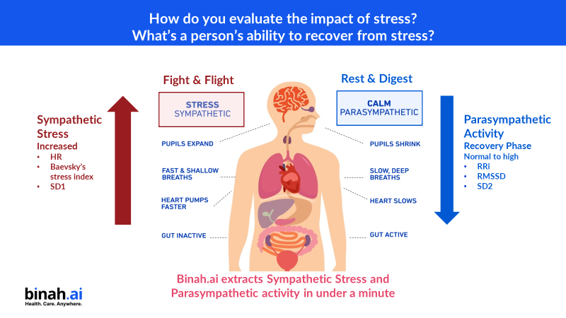 Stress Tracking to Support a Better Understanding and Treatment of Stress 0